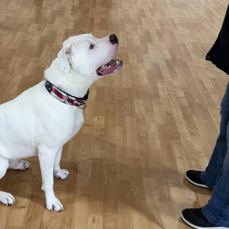 Remington thumbnail 6