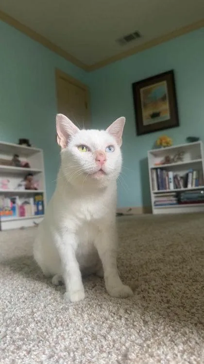 Yuki thumbnail 2