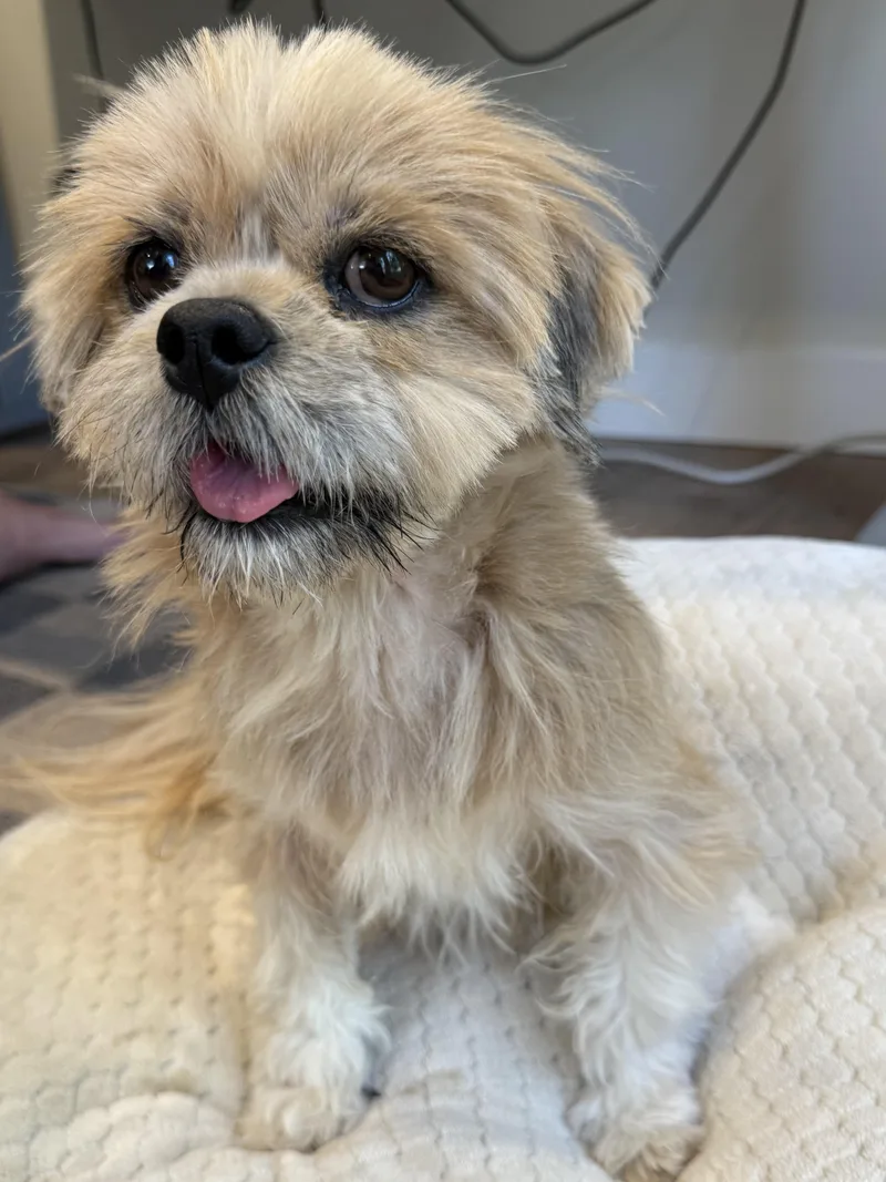 Coco thumbnail 2