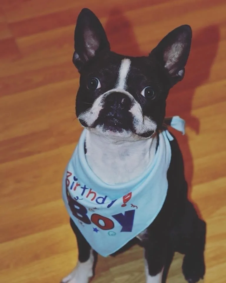 Duke Jackson thumbnail 2