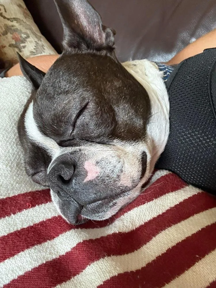 Duke Jackson thumbnail 3