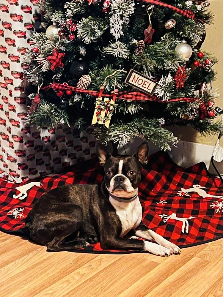 Duke Jackson thumbnail 5