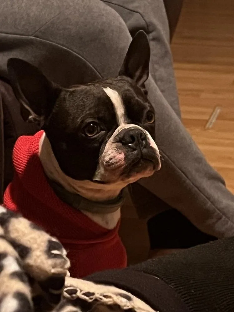 Duke Jackson thumbnail 6