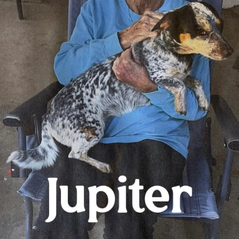 Janie thumbnail 4