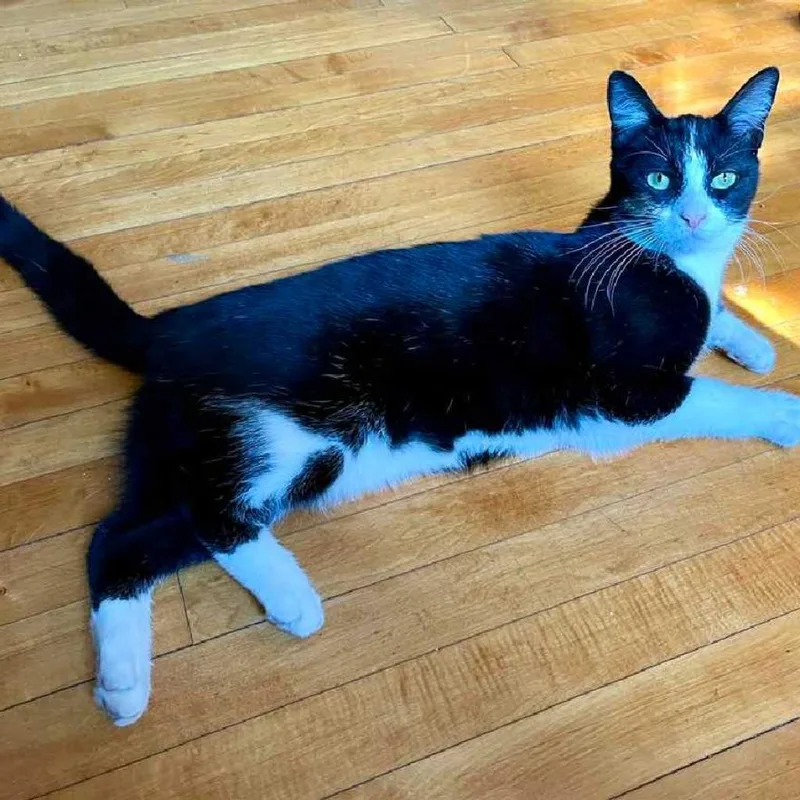 Kenny Loggins thumbnail 2