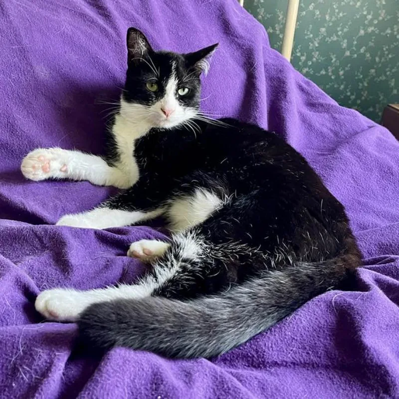 Kenny Loggins thumbnail 3