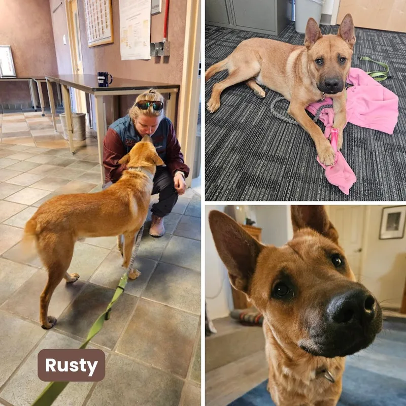 Rusty Redford thumbnail 2