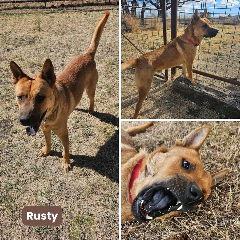 Rusty Redford thumbnail 3