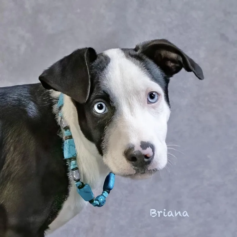 Briana thumbnail 2
