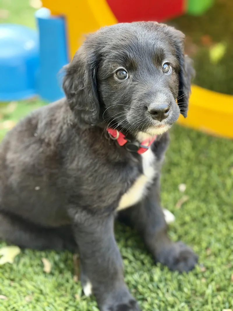 George