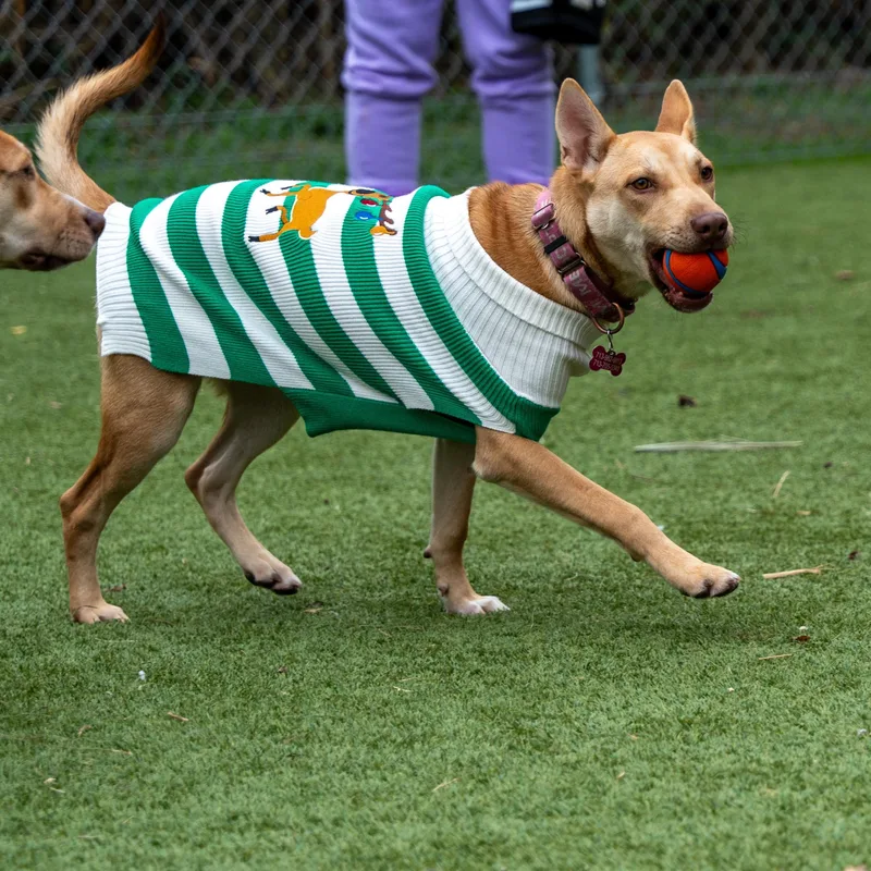 Mary Jay thumbnail 2