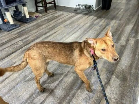 Mary Jay thumbnail 4