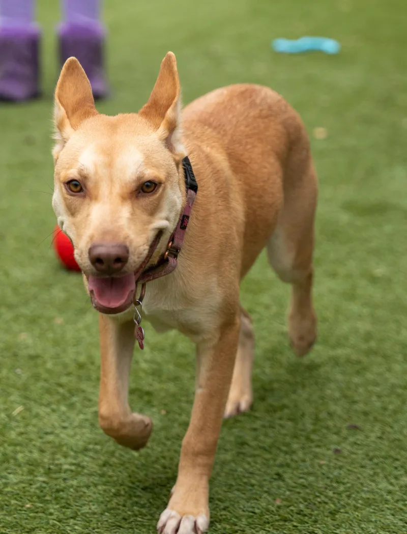 Mary Jay thumbnail 5