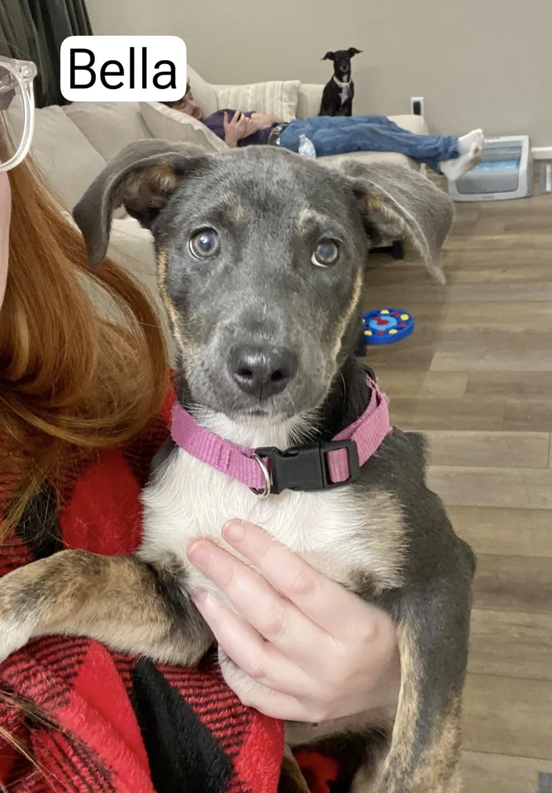Bella thumbnail 2