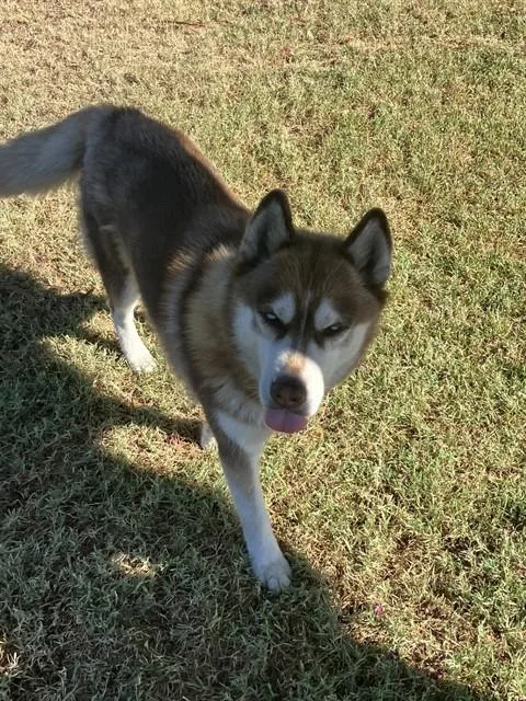 Luna
