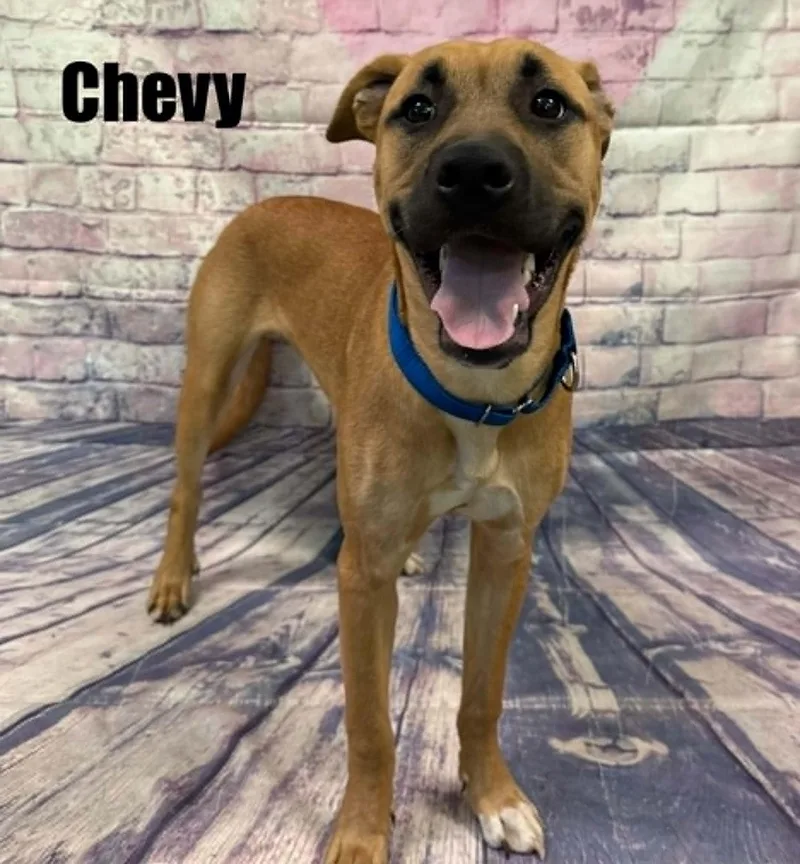 Chevy thumbnail 2