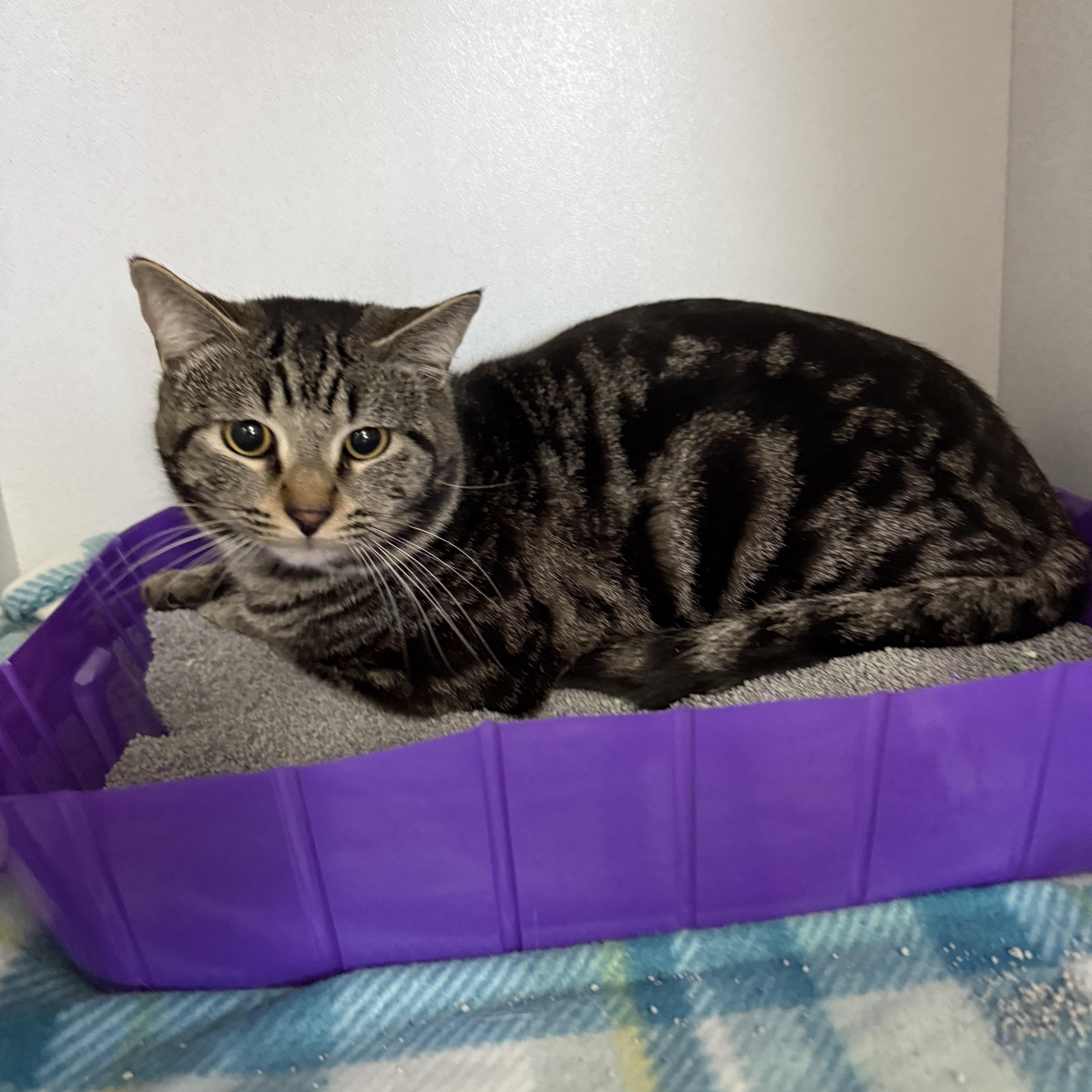 Jason Furness thumbnail 2