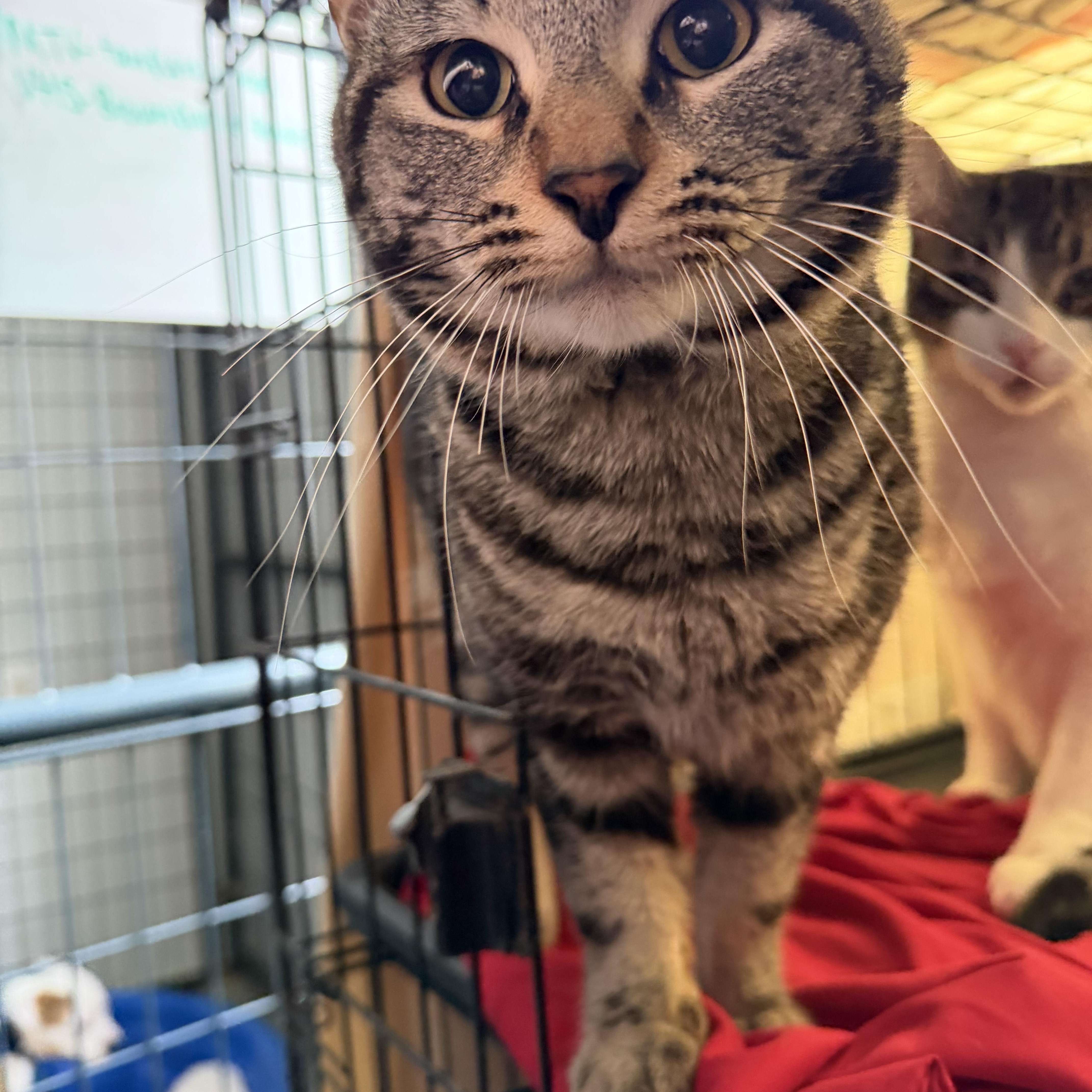 Jason Furness thumbnail 3