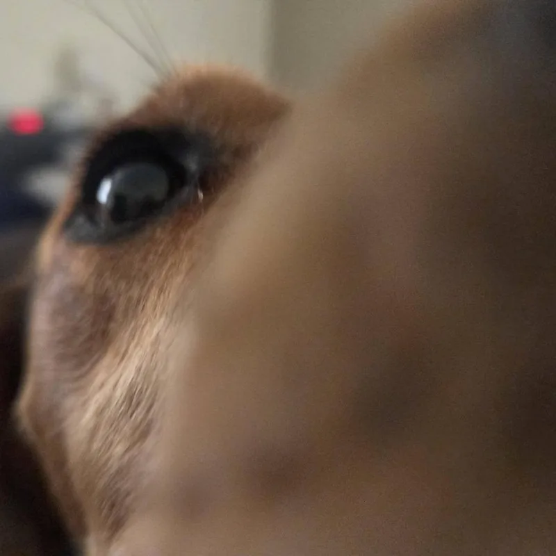 Ranger thumbnail 5