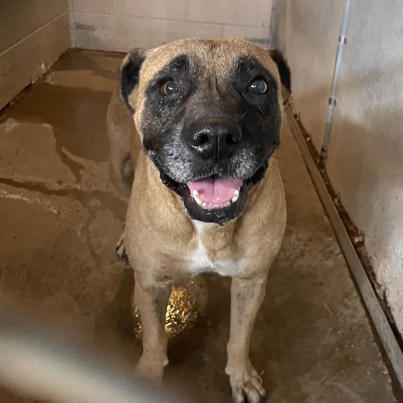 Mona Lisa thumbnail 2