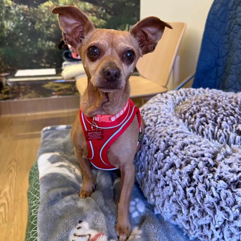 Way Cool thumbnail 2