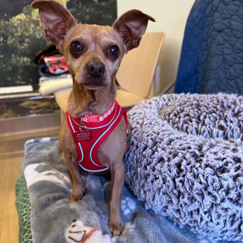 Way Cool thumbnail 3