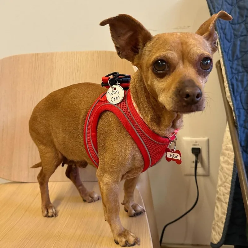 Way Cool thumbnail 4