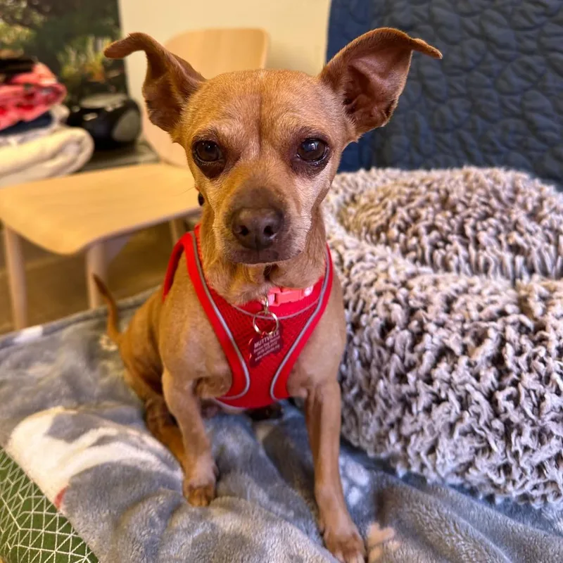 Way Cool thumbnail 5