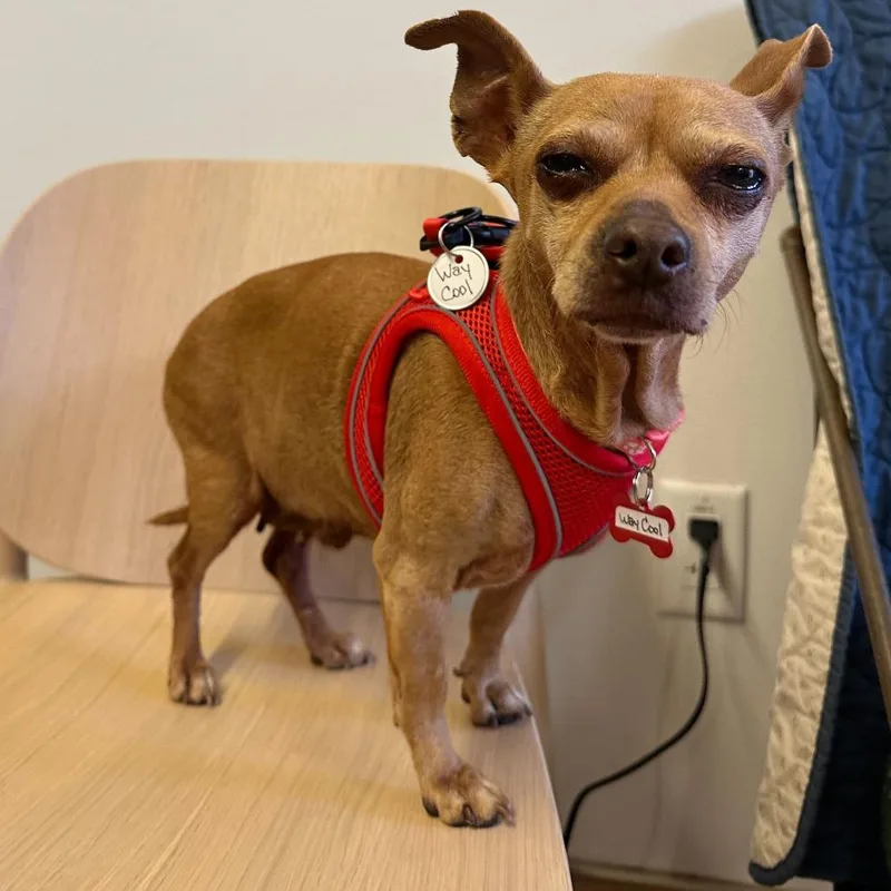 Way Cool thumbnail 6