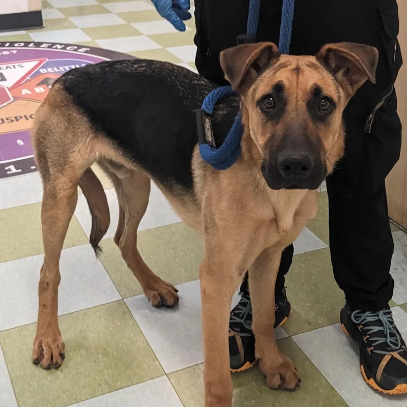 Doughnut thumbnail 2