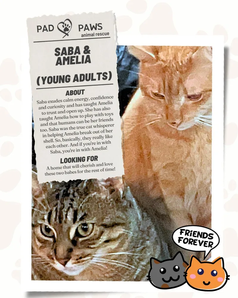 Saba And Amelia thumbnail 3