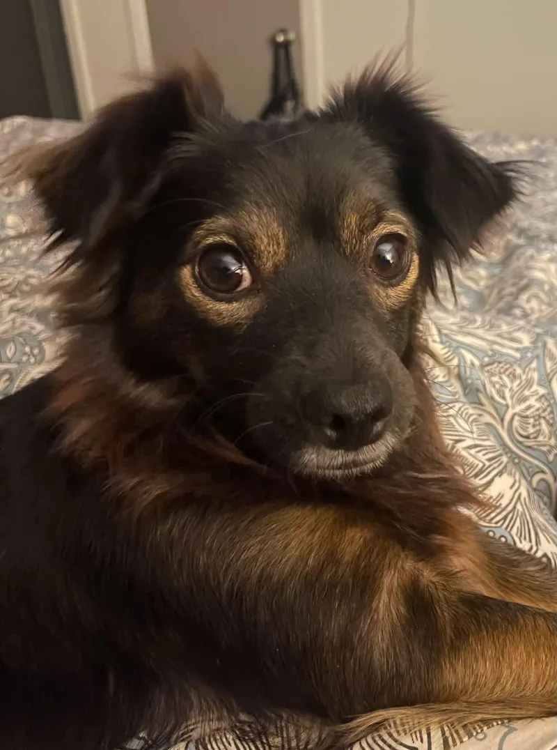 Penny