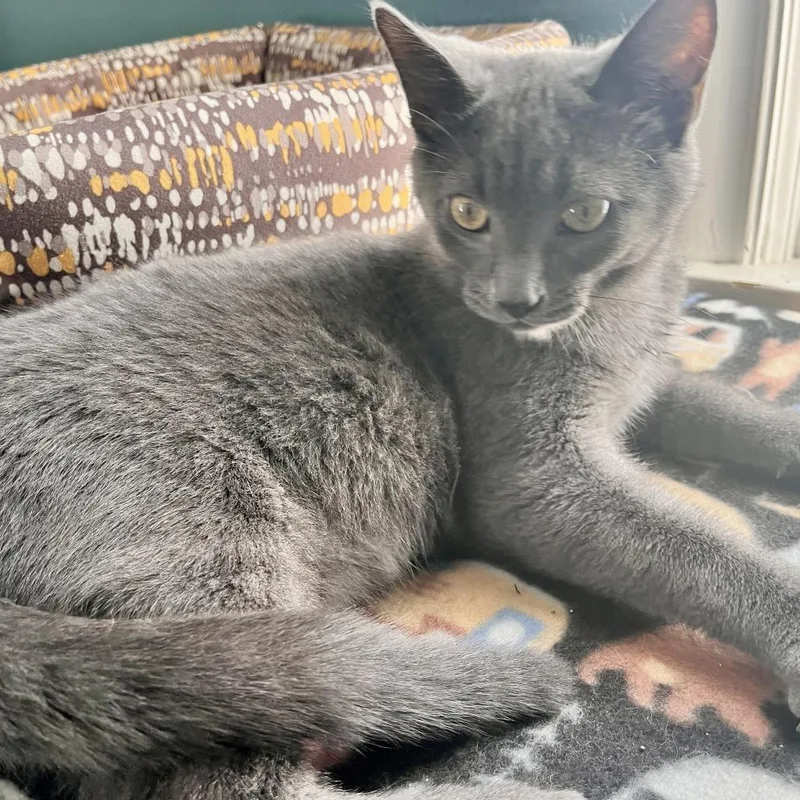 Mcdreamy thumbnail 5