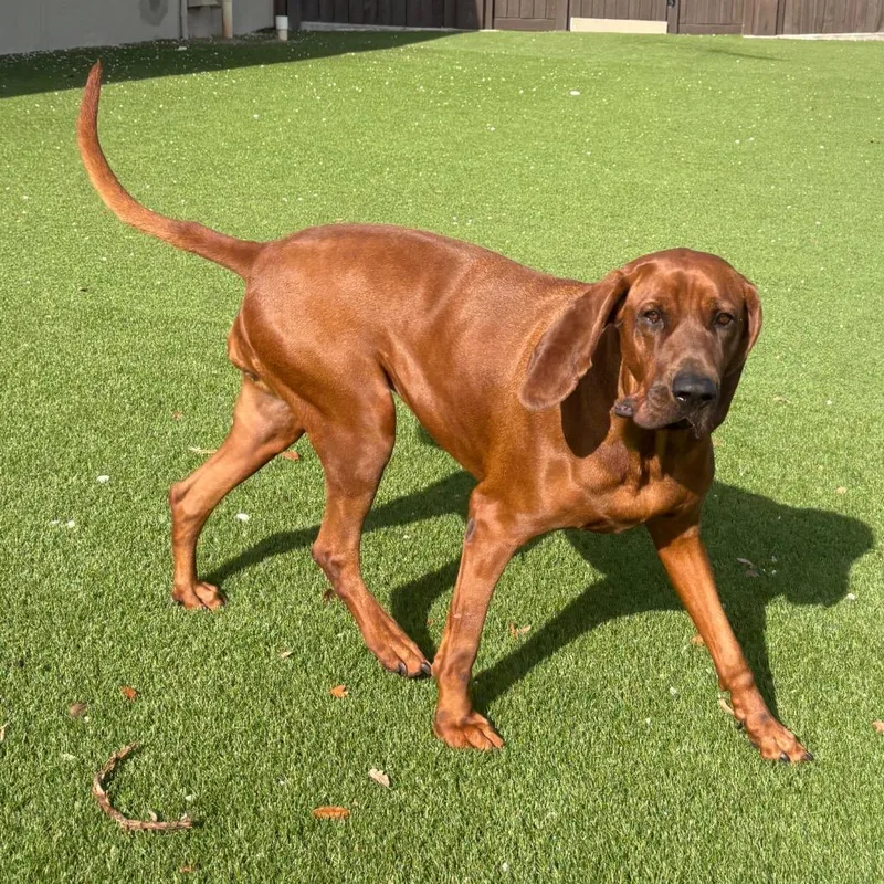 Sienna AKA Molly thumbnail 2