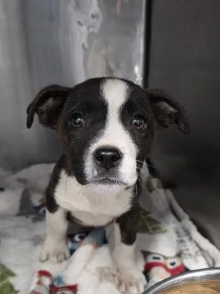 60802355 thumbnail 2