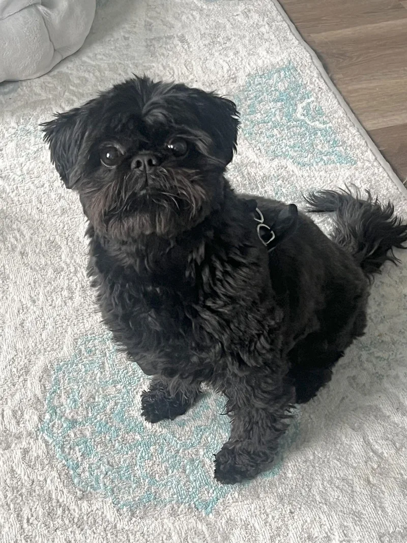 Buttons  Os thumbnail 2