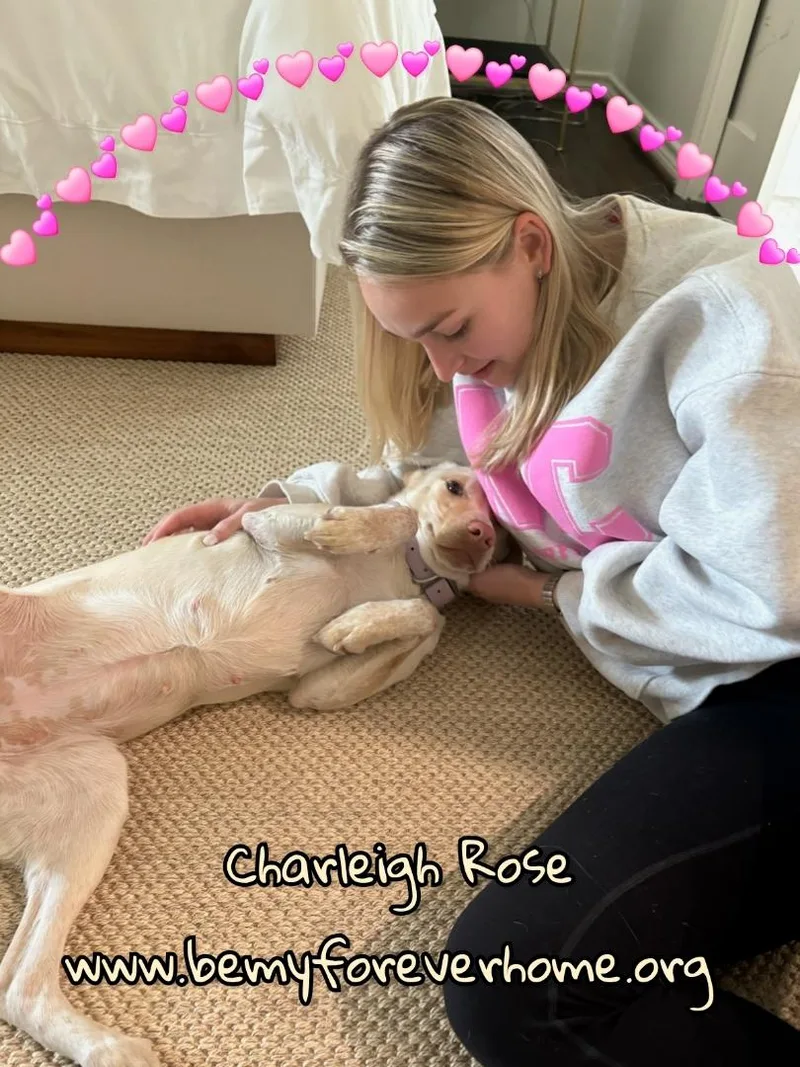 Charleigh thumbnail 4