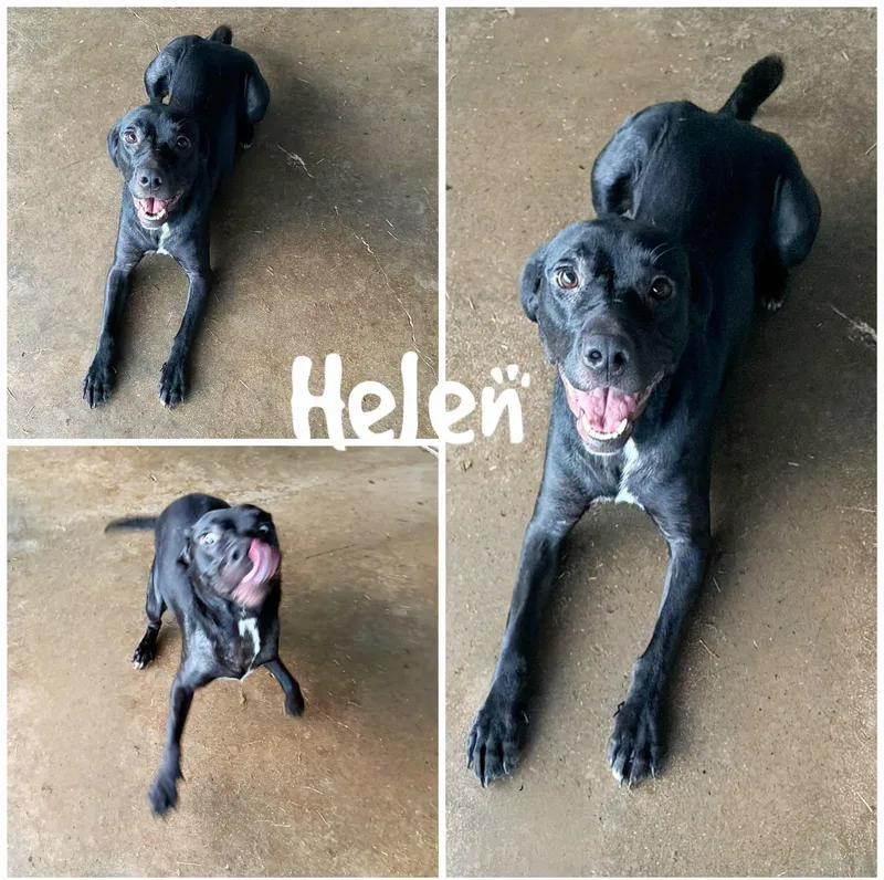 Helen
