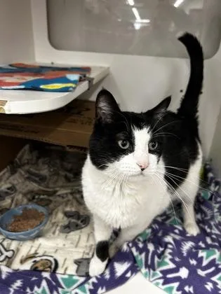 Charleston thumbnail 2