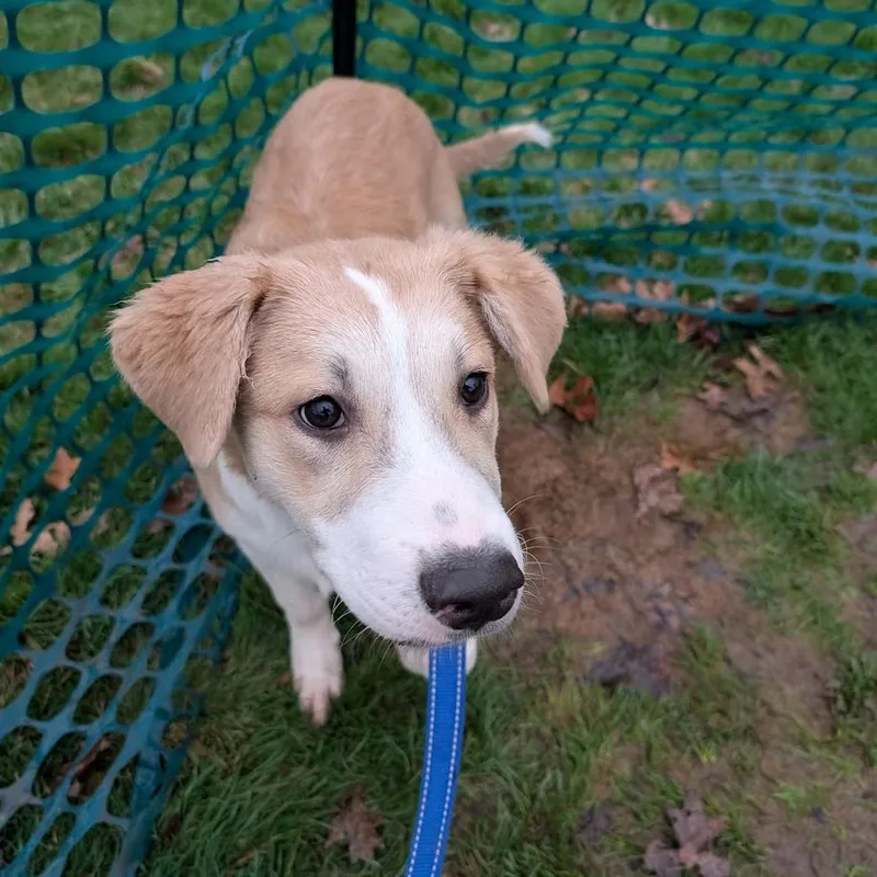 Captain Morgan thumbnail 3