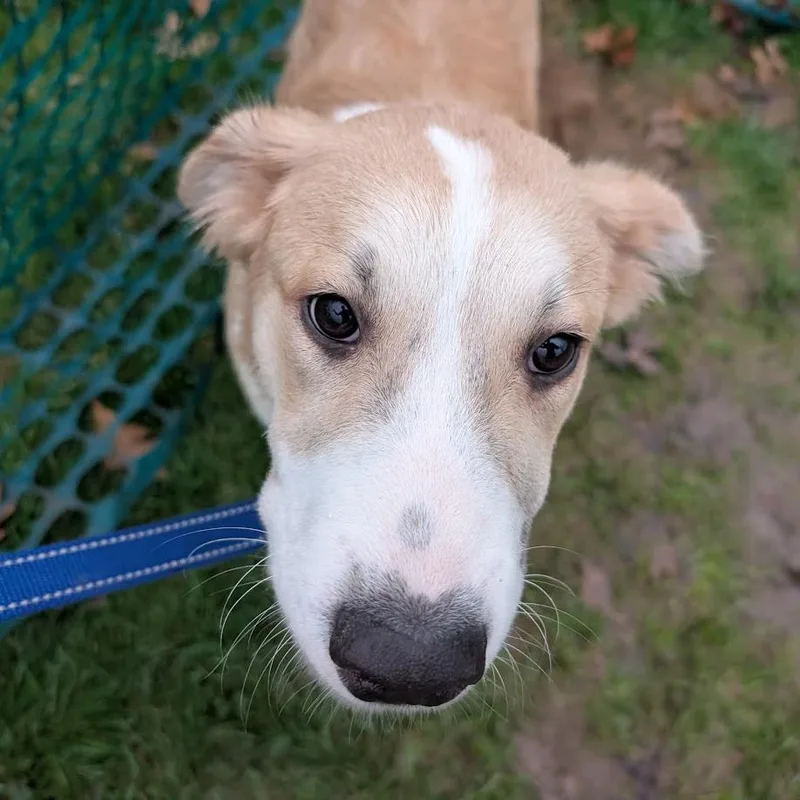 Captain Morgan thumbnail 4