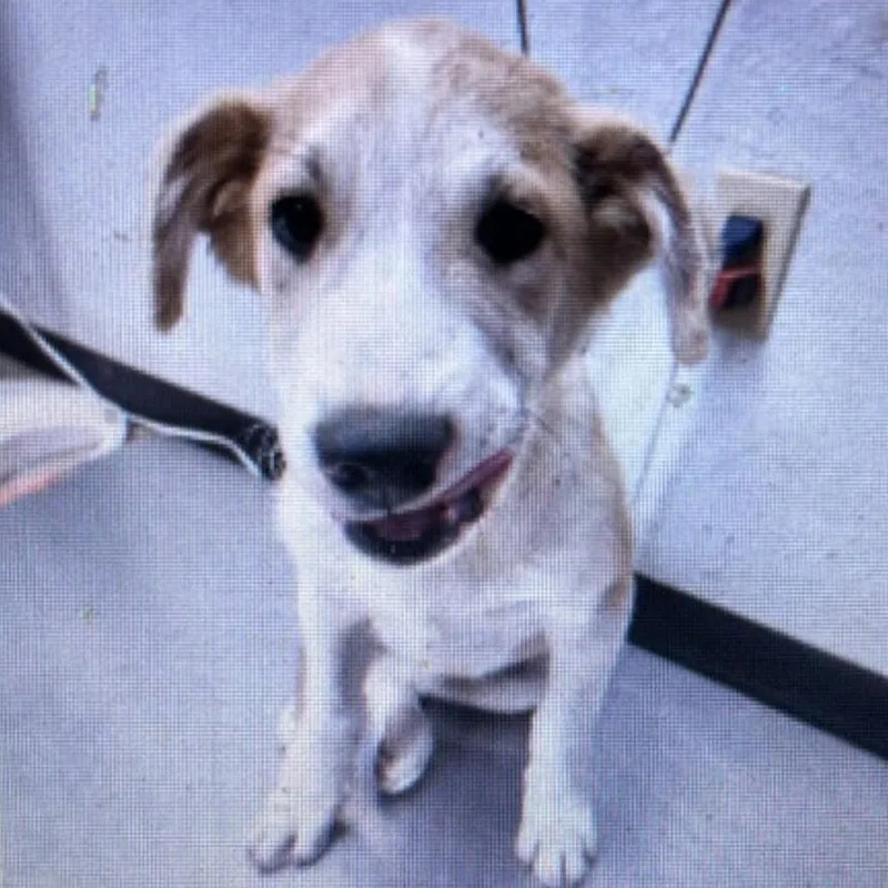 Captain Morgan thumbnail 5