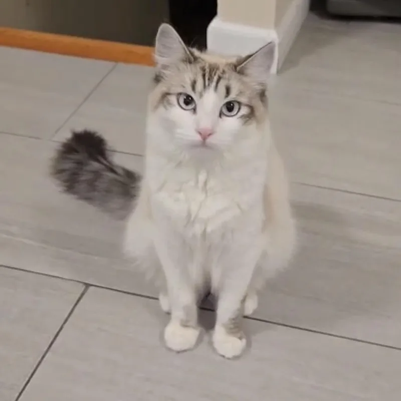 Chloe thumbnail 3