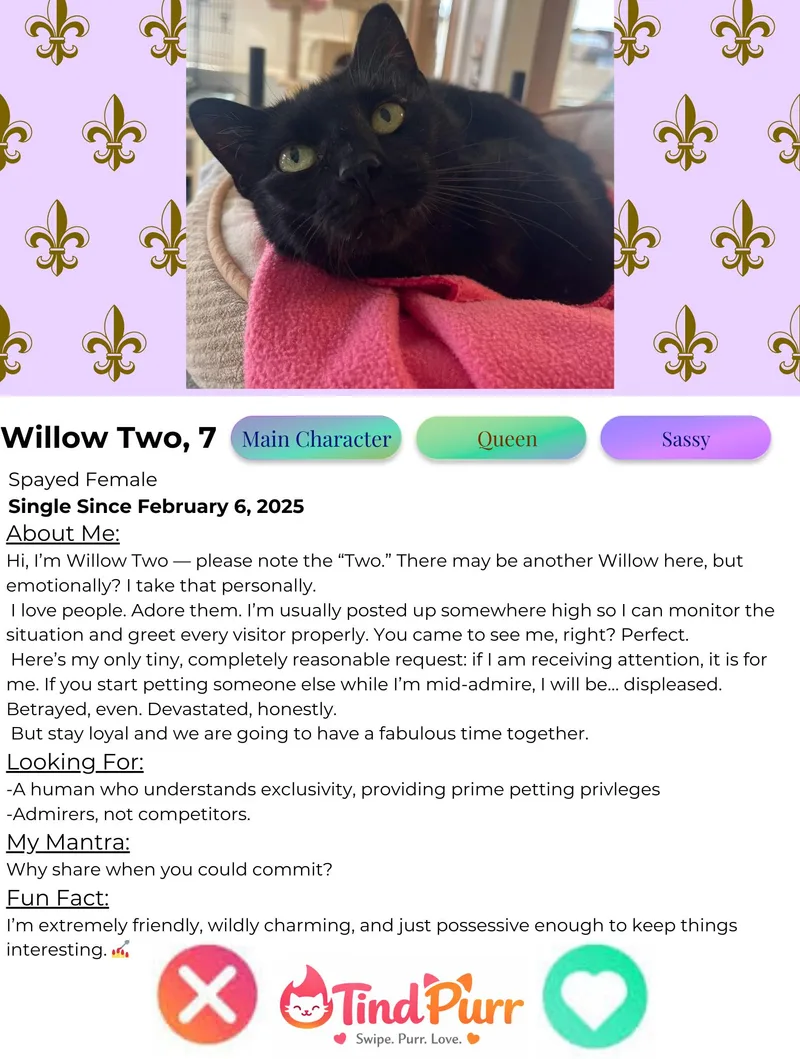 Willow thumbnail 3