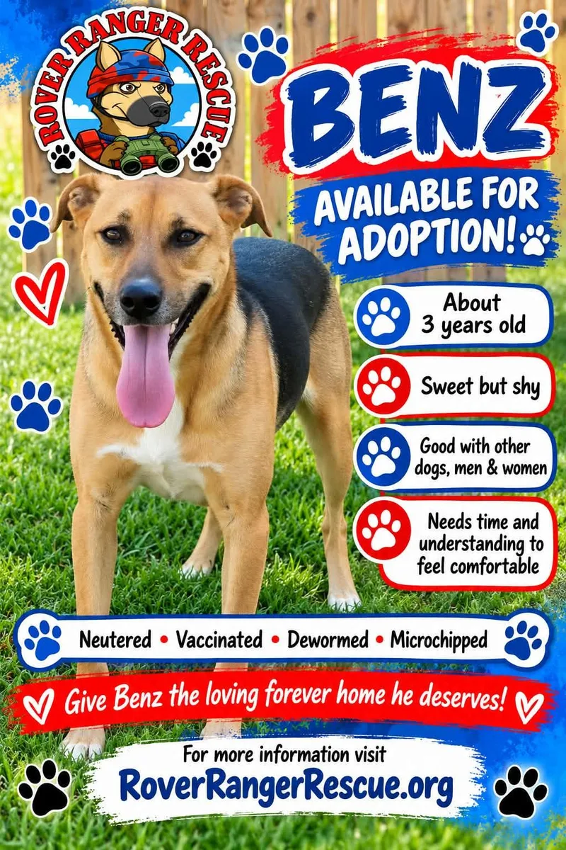 An adult medium-sized male Apricot / Beige German Shepherd Dog named Benz for adoption in Wrightwood, CA