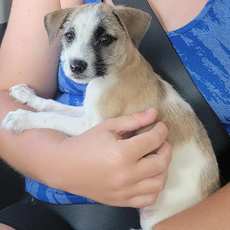 Gwennie