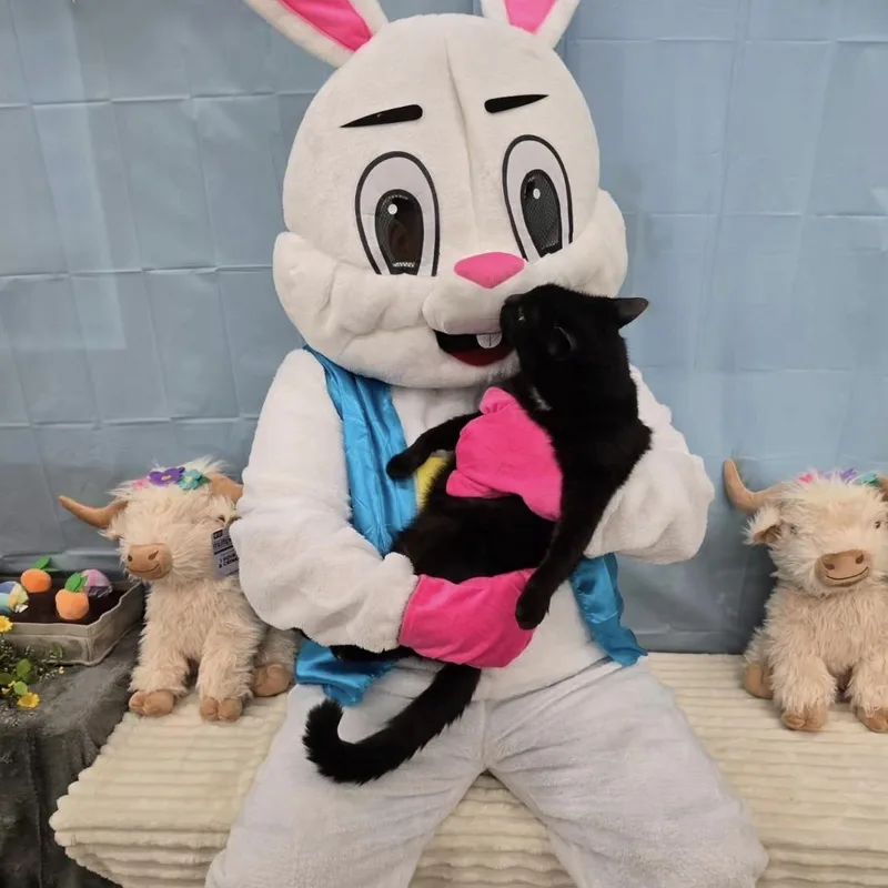 Patch A Sweet Boy thumbnail 3