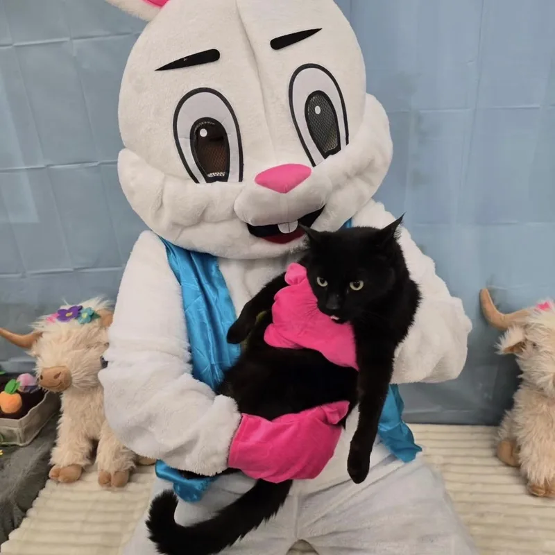 Patch A Sweet Boy thumbnail 4