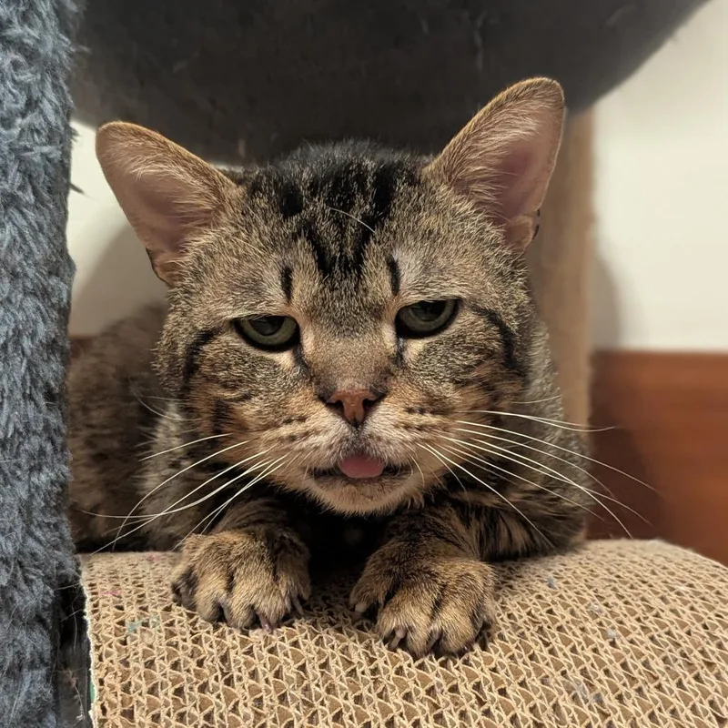 Little Feet thumbnail 2