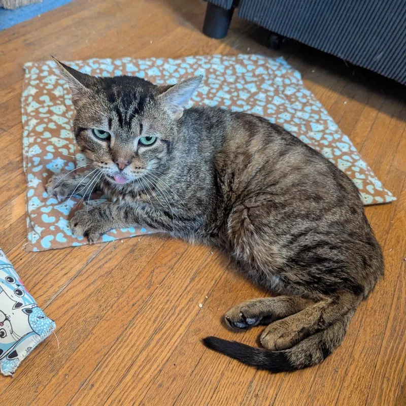 Little Feet thumbnail 3